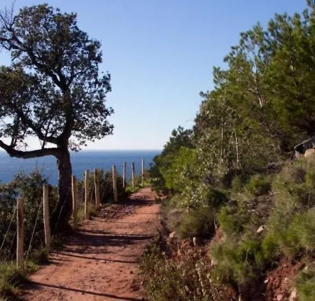 Cocon D'azur - Acces Le Pradet