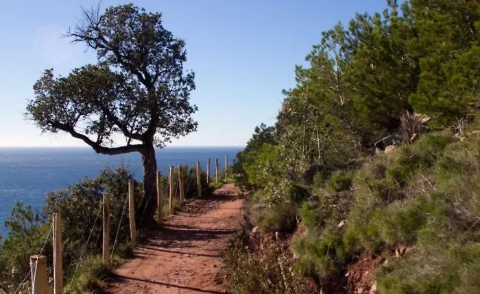 Cocon D'azur - Acces Le Pradet